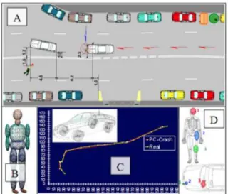 Figure 3. Setting initial conditions for simulation: A)  Sketch; B) Multibody model; C) Vehicle shape; D) Injury  mechanisms