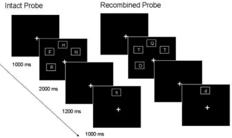 Fig. 1. Schematic illustration of both types of positive recognition probes. Trials in the verbal and spatial conditions were identical and differed only with respect to the instructions  given to participants (to memorize either the consonants or the loca