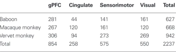 Table 13 | Number of layer iii pyramidal cells included for study in the  granular prefrontal (gPFC), cingulate, sensorimotor, and visual cortex of  the animals studied here.