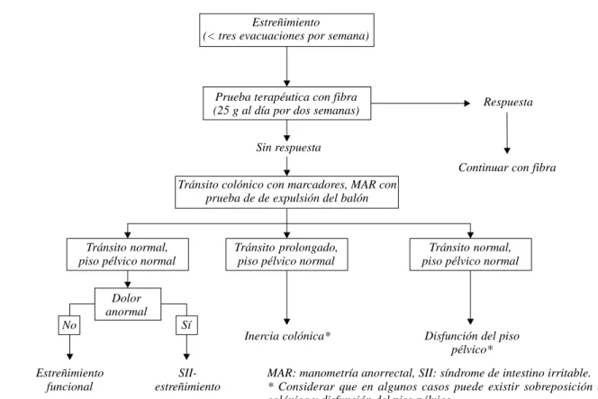 Figura 4. Algoritmo diagnóstico para la evaluación del estreñimiento.
