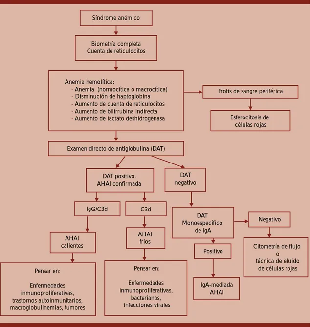 Figura 3.  Algoritmo propuesto para el diagnóstico de anemia hemolítica autoinmunitaria