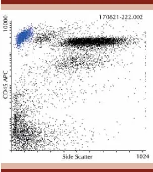 Figura 3.  Inmunofenotipo al día 21 con blinatumo- blinatumo-mab y al día 11 con venetoclax que demuestra 0% de  blastos linfoides.