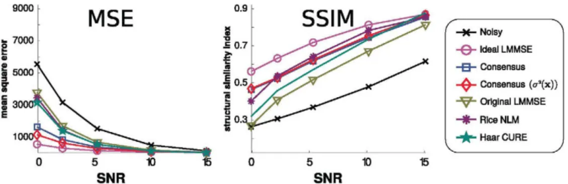 Fig. 5. Results from the first experiment: the synthetic MR magnitude image from  Fig