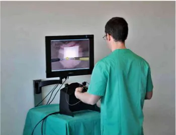 Fig. 1 SINERGIA laparoscopic virtual reality simulator 