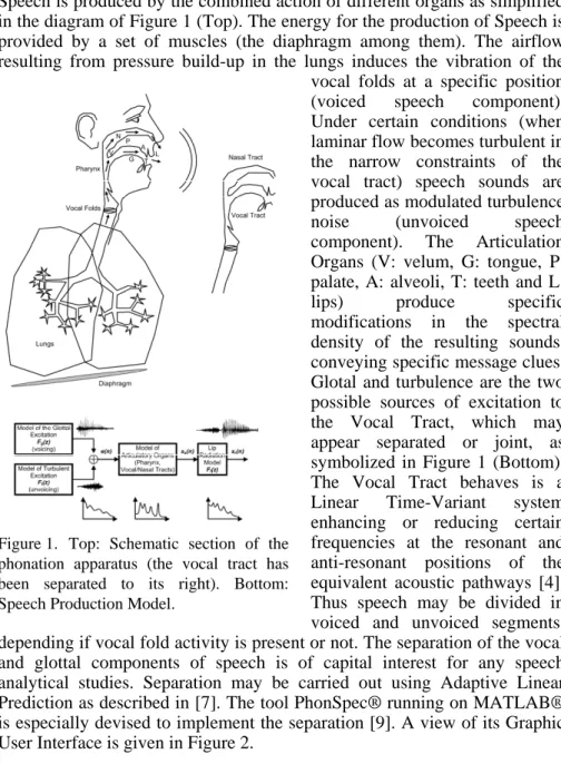 Figure 1.  Top: Schematic section of the  phonation apparatus (the vocal tract has  been separated to its right)