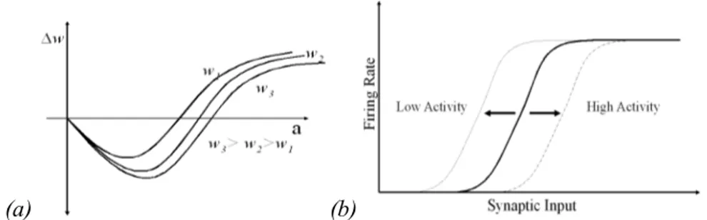 Fig. 1: The curves in (a) represents synaptic metaplasticity, in which more elongated curves  are obtained for higher initial synaptic weights; in (b), intrinsic plasticity consists in the shift  of the activation function  according to higher or lower levels of neural firing 