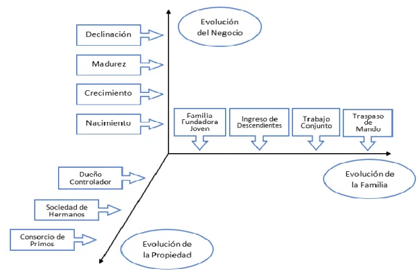 FIGURA 4: MODELO EVOLUTIVO TRIDIMENSIONAL 