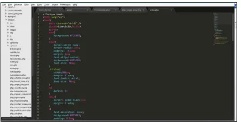Gráfico N° 2. Pantalla Sublime text 2. 