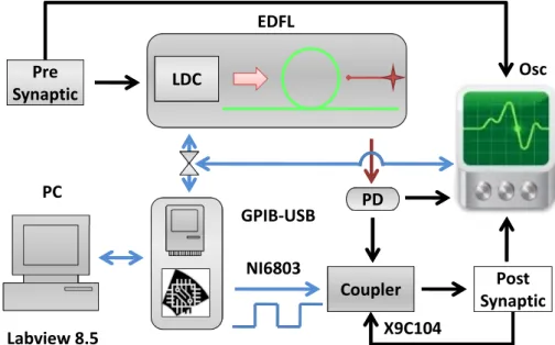 Figure 1. Experimental setup. The pre-synaptic FitzHugh–Nagumo (FHN) electronic circuit drives the erbium-doped fiber laser (EDFL) via the laser diode controller (LDC)