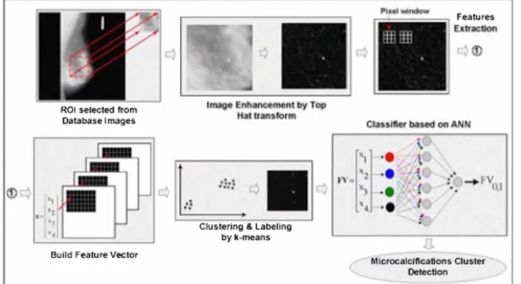 Fig.  1  An overview of the proposed method. 