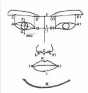 Figura 1.1 Modelo Frontal 