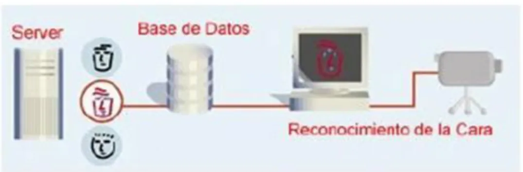 Gráfico N° 9 Diseño 