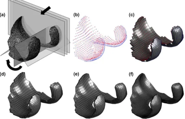 Figure 2.  Schematic representation of custom hexahedral mesh generation for femoral cartilage structures: (a) sweeping in both axial 