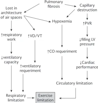 Figure 5. Factors that limit exercise capacity in ILD patients.  CO: cardiac output; PVR: pulmonary vascular resistances;  VD: dead space; LV: left ventricle; VT: tidal volume.