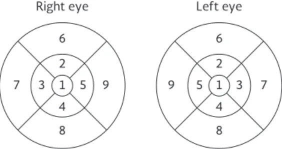 Figure 1. Location of fields 7 on fast macular thickness map  (temporal perifoveal region).