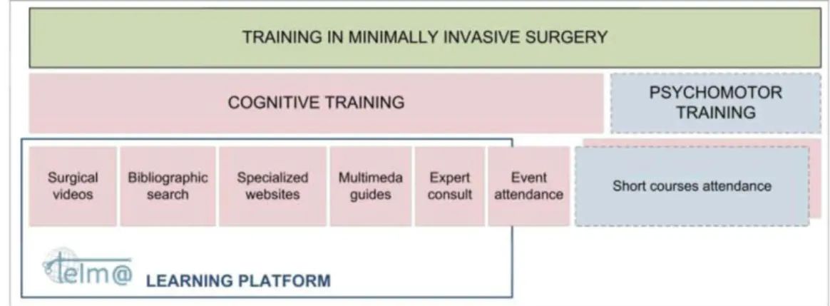 Fig 2: Current methods for MIS training and inclusion of those in the TELMA learning platform