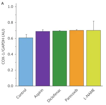 Figure 2. A: messenger RNA (mRNA) expression of cyclooxygenase-1 determined by reverse transcriptase polymerase chain reac- reac-tion in rat aortic tissue on day 7 of treatments