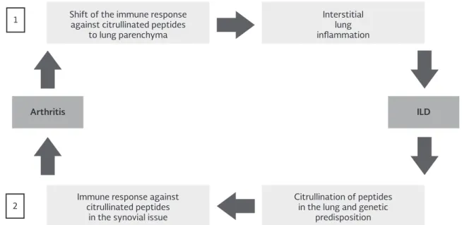 Figure 1. Potential mechanisms linking rheumatoid arthritis and interstitial lung disease