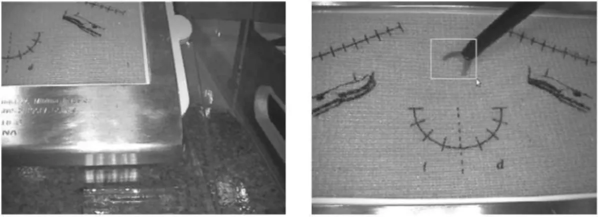 Figure 2. Negative image (left). Positive image (right), selection of the coordinates and dimensions of the object of interest (tip of the  laparoscopic scissors)