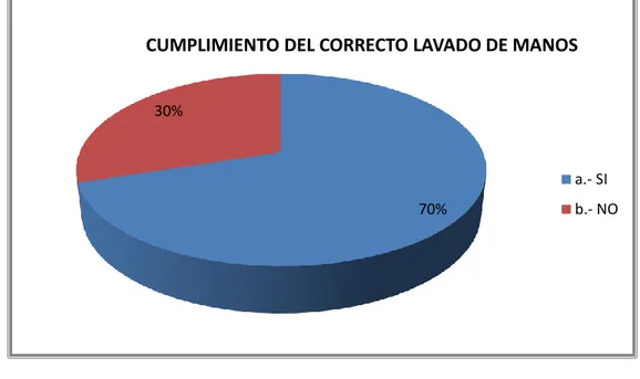 Gráfico N° 1.  