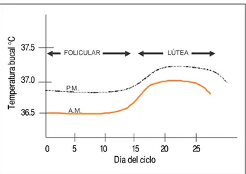 Figura 4. Ritmo circadiano y ultradiano de la temperatura. 11