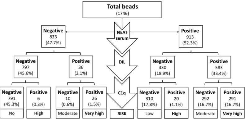 Fig 2. Stratification of the risk regarding positive bead results after neat serum, diluted serum and C1q test