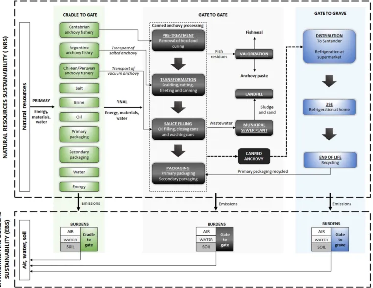 Fig. 2. Flow diagram of the life cycle of a canned anchovy product.