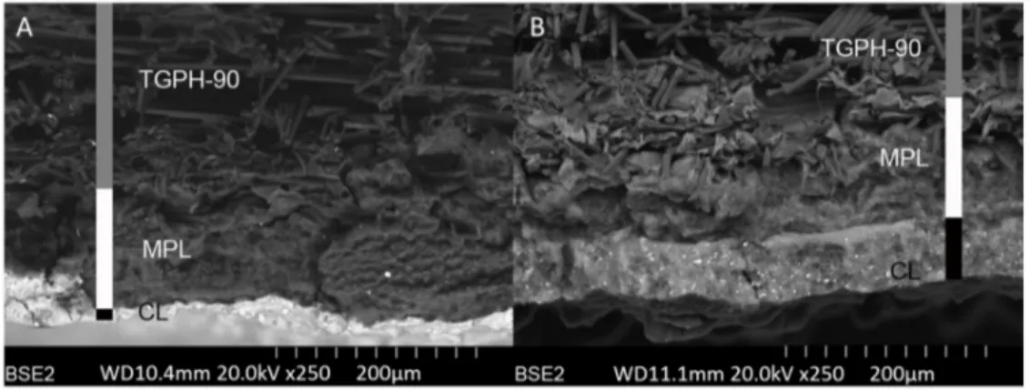 Figure 5. Sn-GDEs SEM images. A) Sn/P-GDE; B) Sn/C-GDE.