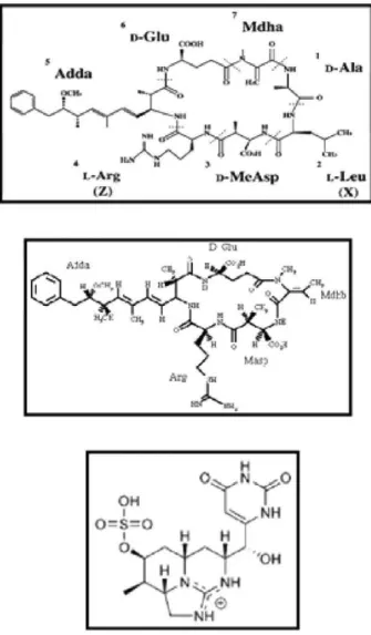 Fig. 7. Structures of some toxins in cyanobacteria. 