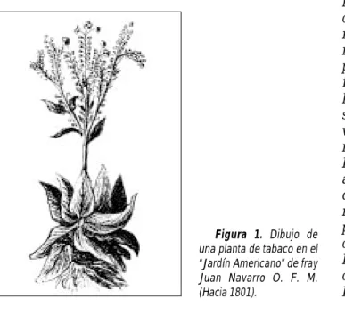Figura 1. Dibujo de