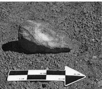 Figura 1. Elemento fijo de un mortero, de 0,39 m de longitud hallado (23º39´017´´S, 66º17´537´´W) por uno de los autores del artículo, De Nigris (2009) próximo a las escorias de las huayras (guayras) de Cobres (Salta, Argentina) a 3624 m de altitud.