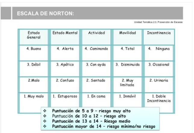 Tabla 3: Escala de Norton 
