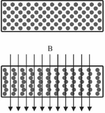 Figura 1. En la parte superior se observa que la disposición de las micropartículas en ausencia de un campo magnético es aleatoria, de forma que el fluido se comporta como un fluido newtoniano
