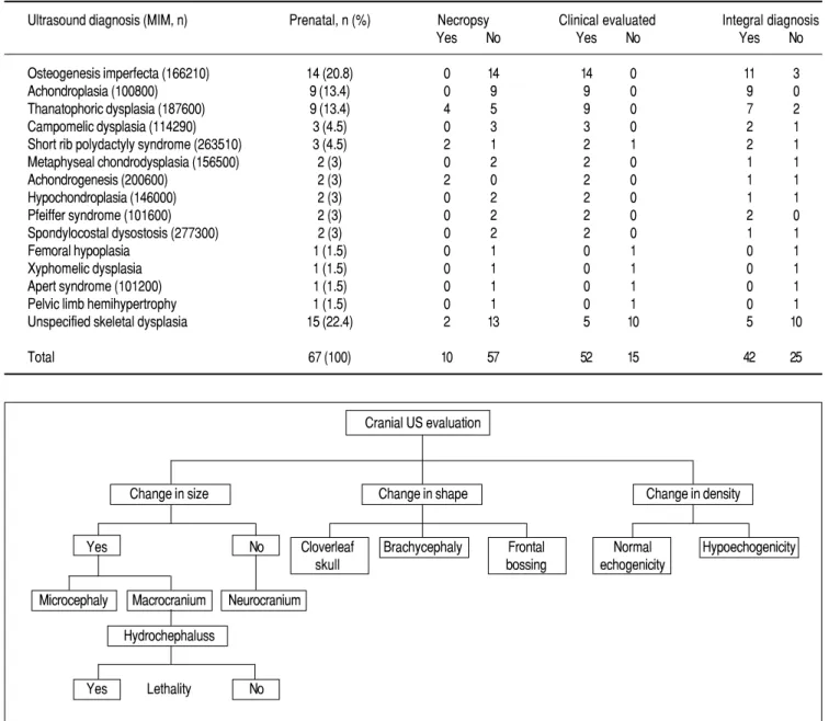 Table 2. Table 2. Ultrasonographic diagnosis of bone dysplasia in conjunction with clinical (genetic) and necroscopic confirmation.