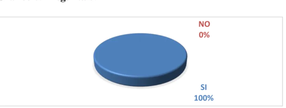 Gráfico 8. Pregunta 8.  SI 100%NO0% SI 100%NO0%