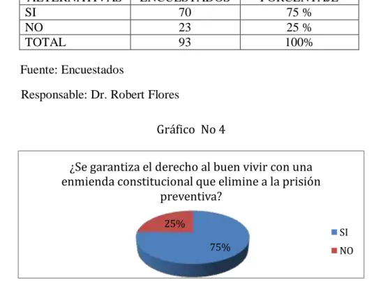 Gráfico  No 4 