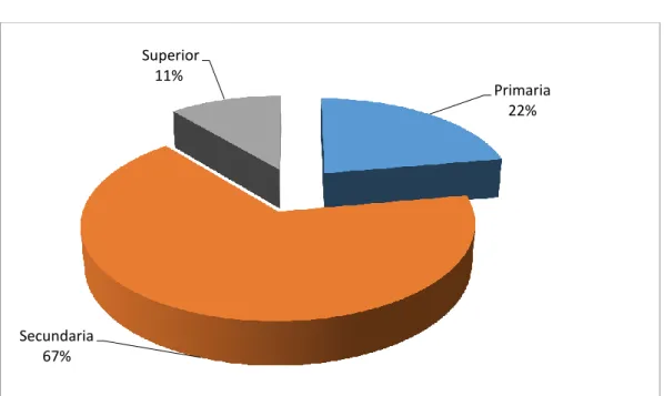 Gráfico 3: Escolaridad de pacientes ambulatorios 