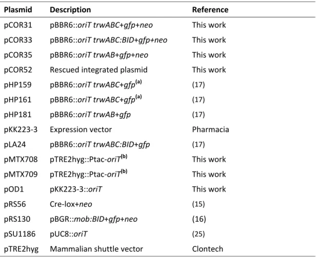 Table 1. Plasmids used in this work 822 