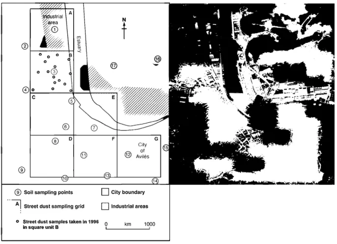Fig. 1. Study area: soil sampling points and street dust sampling grid.