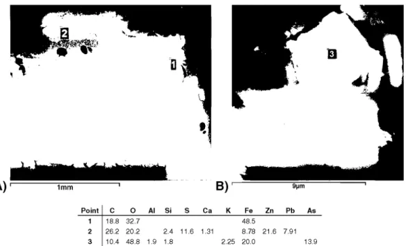 Fig. 7. 5EM-EDAX images and composition of analysed points in soil sample 16 (aH results in wt.%).