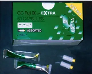 Figura 1. Fuji IX gp extra.