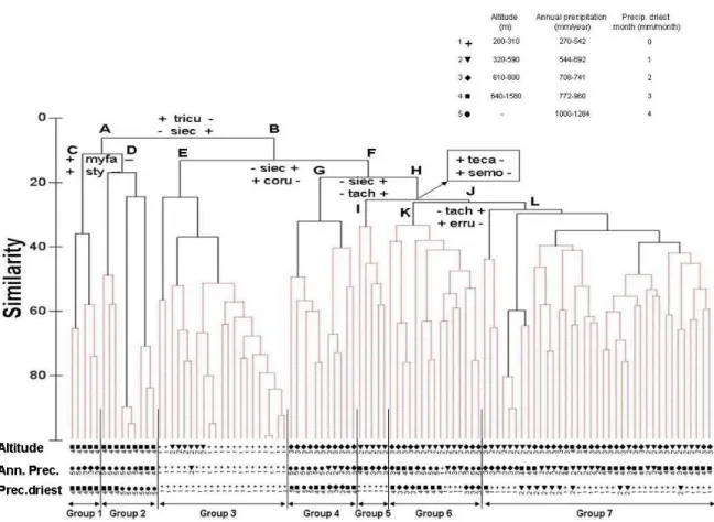 Figure  2.  Dendrogram  of  the  agglomerative  cluster  of  103  samples  (6  outliers  were 