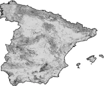 Fig. 1. GIS model for biodiversity and environmental assessment for the whole of Spain