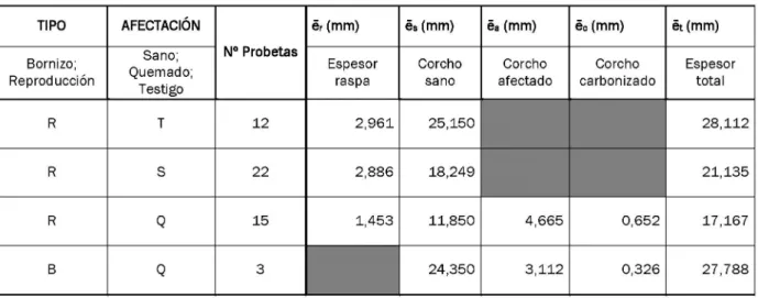 Tabla 4. Valores medios de los espesores de raspa (er) y corcho sano (es), afectado (ea) y carbonizado (ec) obtenidos con  analizador de imagen  TIPO  Bornizo;  Reproducción  R  R  R  B  AFECTACIÓN Sano; Quemado; Testigo T S Q  Q  N° Probetas 12 22 15 3  ér (mm)  Espesor raspa  2 , 9 6 1 2,886 1,453  é s  (mm)  Corcho sano  25,150  18,249 11,850 24,350  éa (mm)  Corcho  afectado  éo (mm)  Corcho  carbonizado 4,665 3,112  0,652 0,326  §t(mm)  Espesor total  28,112 21,135 17,167 27,788 