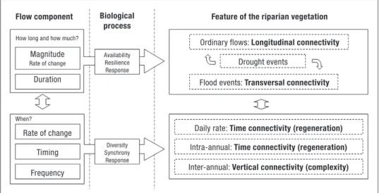 Figure 1. Rationale for the RFV index. The assessment features of the riparian vegetation were selected from those sustaining or associated to core biological processes