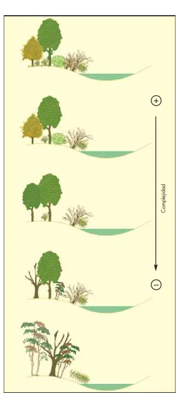 FIGURA 6. Valoración de la complejidad (conectividad vertical) del bosque de ribera, de mayor a menor grado de calidad.