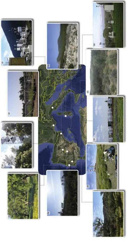 Fig. 3. Examples of terrestrial ecosystems and experimental facilities set up to investigate the effects of air pollution and climate change in the Mediterranean Basin (see