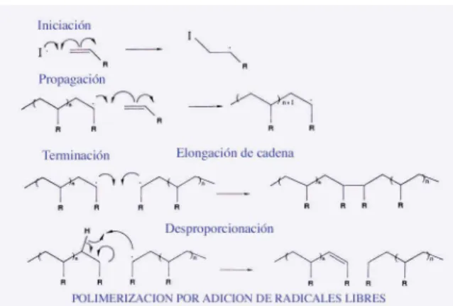Figura 2. Pasos en la Polimerización por adición de  radicales libres.