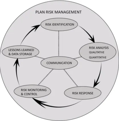 Figure 7 -2.7 . The risk management process. Self-Produced 