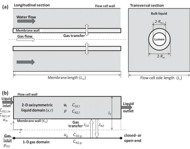 Figure 3. (a) Schematic representation (not at scale) of the experimental co-current aeration system with 